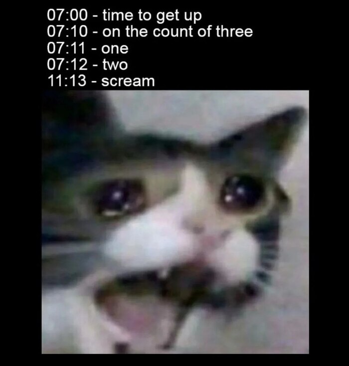     , , ,   