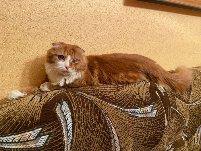 ����� �� ���� ������� �������� ����� ����, ��� ��� ����� �������(�