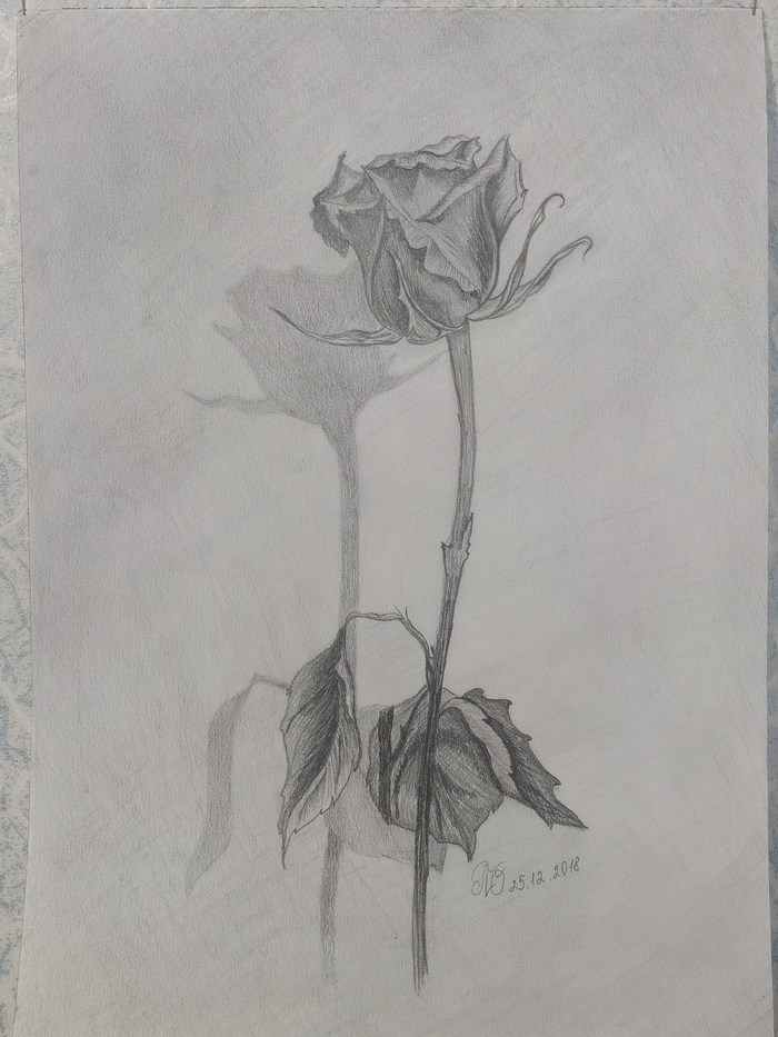 ��� ��� ��������...