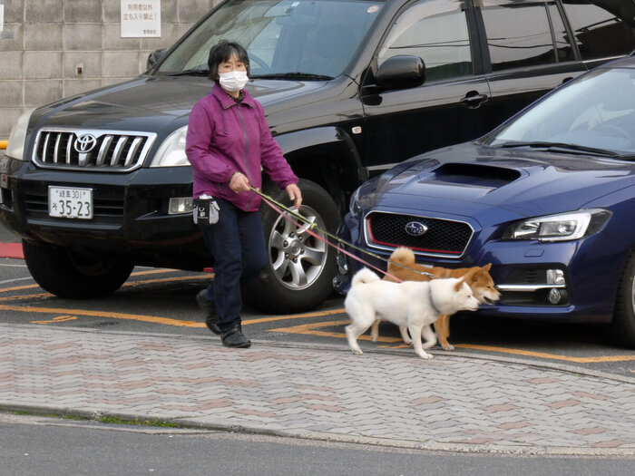 � ������ ��������� ����� �� ������ ��������� �� ���� ������, �� ��� � �������� �� � ����� ����� - �� ����� �� ��������� ������