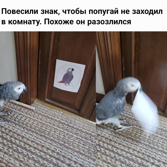  -  .  - !