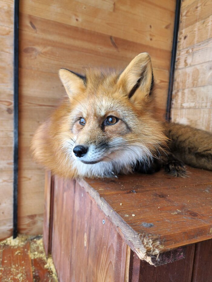 ������. ����� ��������