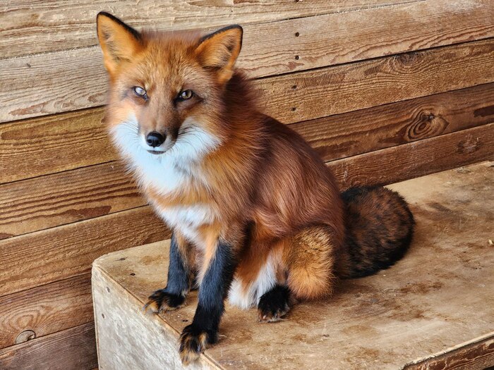 ������. ����� ��������