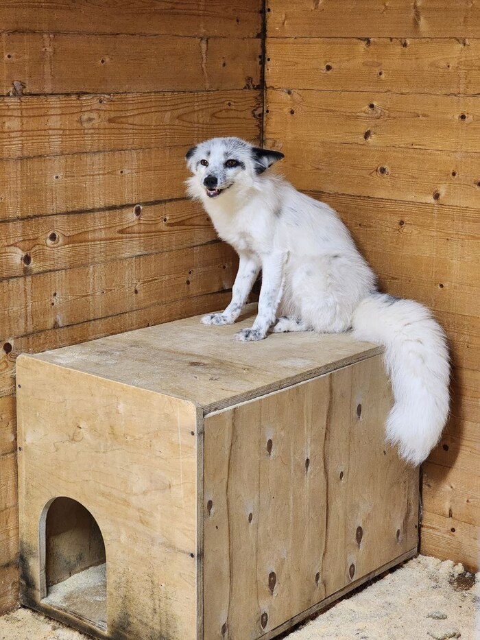 ������. ����� �����