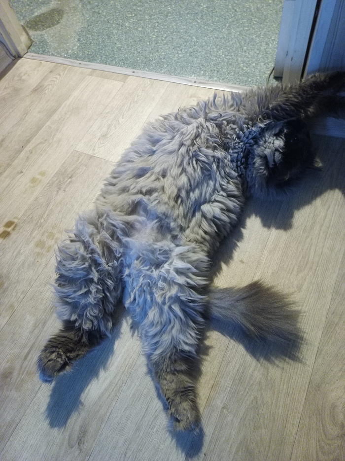 Без резких движений листай дальше!