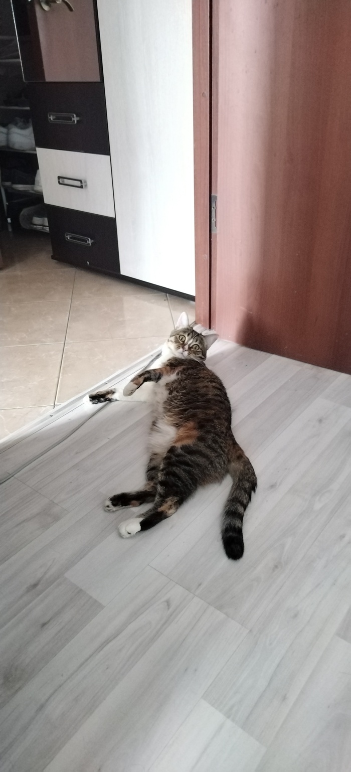      ,      ,     ,  ,  , 