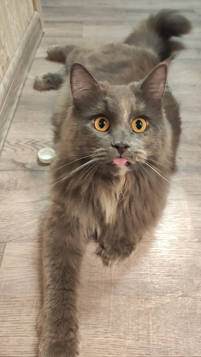   ,  , ,  , -