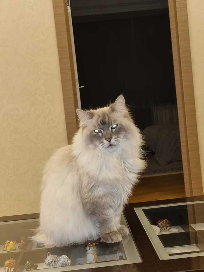     ?