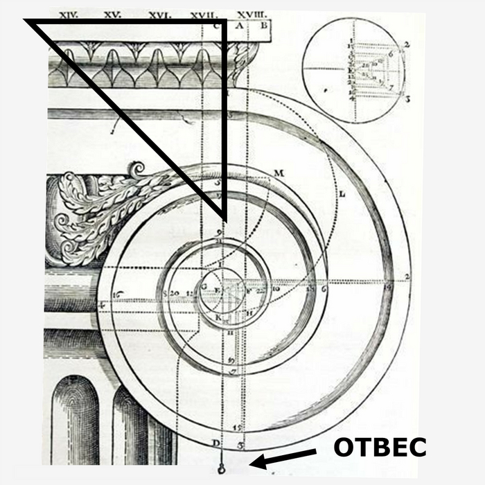 Капитель ионической колонны. Катет - это отвес, от начала завитушки и проходящий через её центр. Завитушка и есть волюта