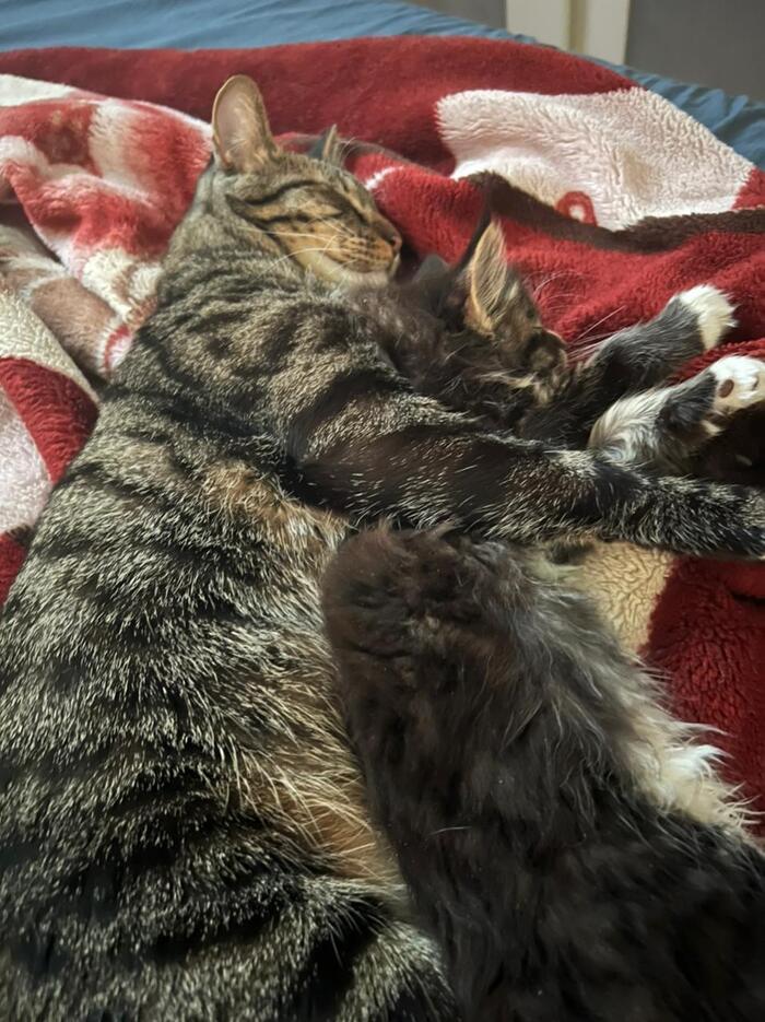    :)  , -, -, , ,  ,  
