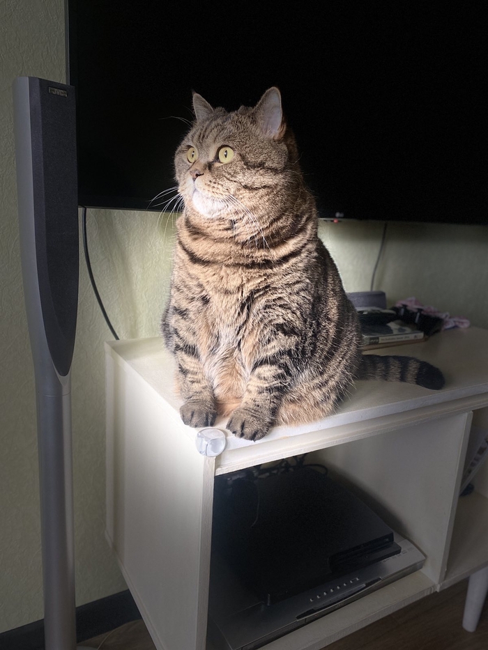 ����� � �� ����� �������