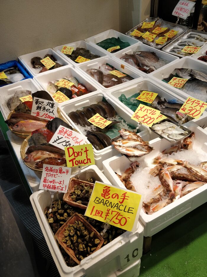 ������ �����. ����� ������� � ��� �� ����������