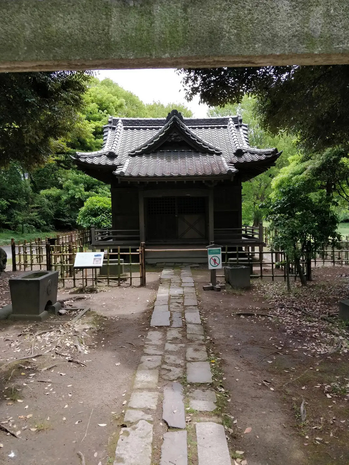 �� ����, ���-�� ������� � �����