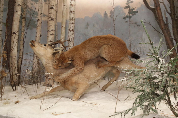 Сань, только не оставляй засосов, а то мама наругает!