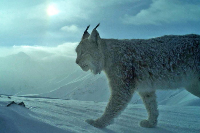 Наконец-то настало моё время.