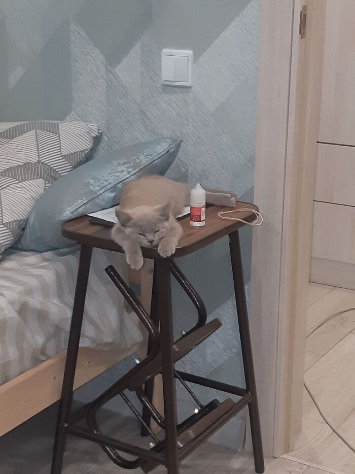   ,   -  