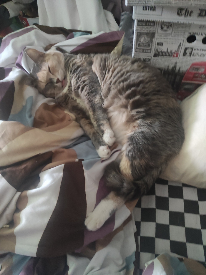 � ��� ������ ���������?...