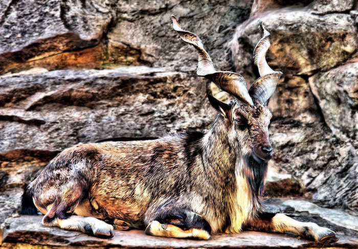 Так, а зачем здесь фотка голой скалы?