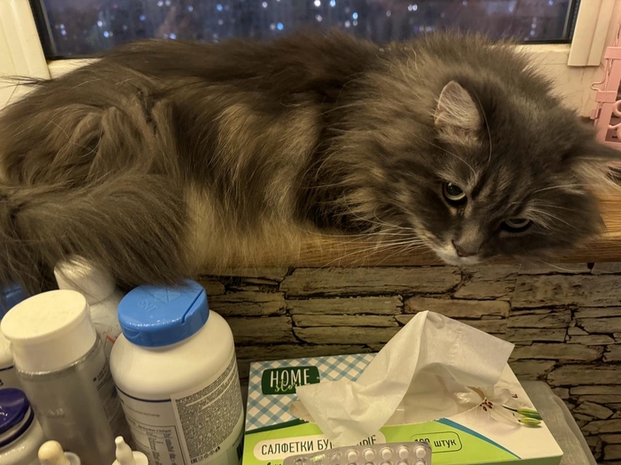 ������� ����