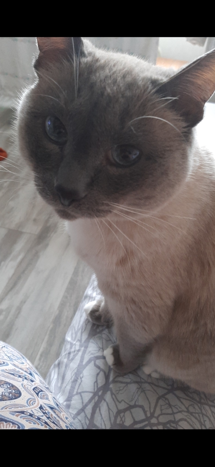 ����������� 13 ���. 