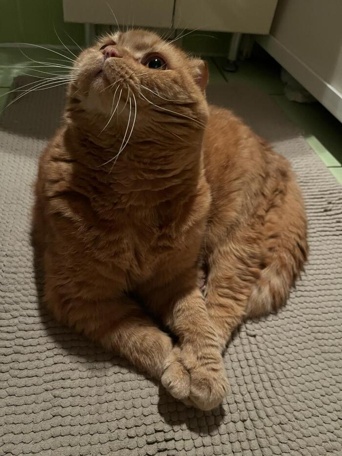 �� ����� �����