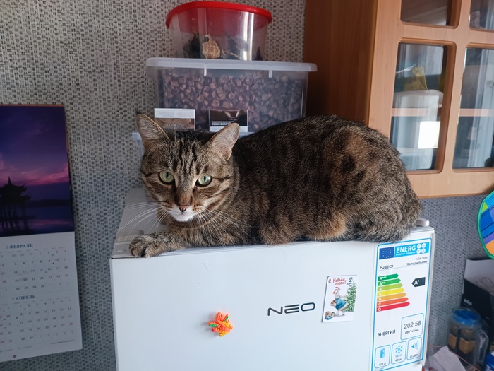 �� ������ ������������