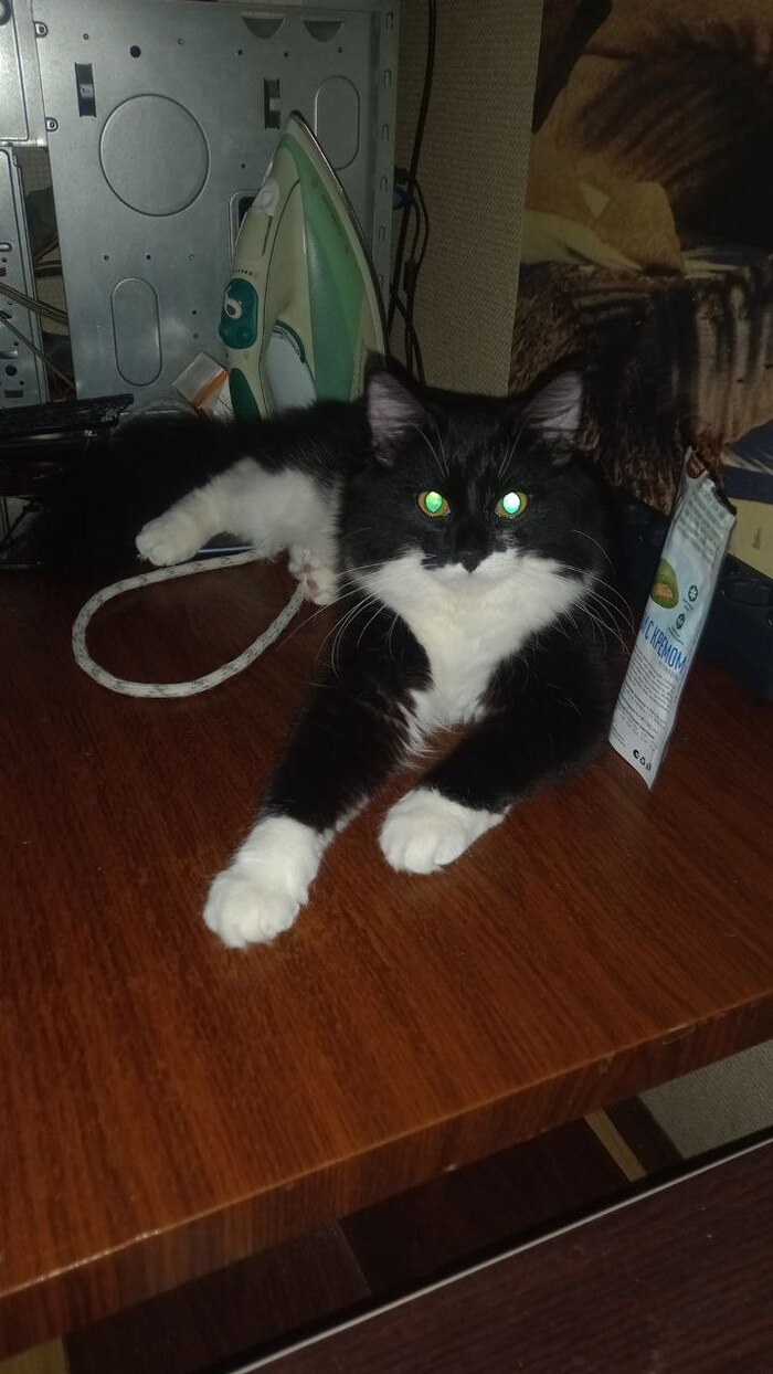 �� ����� ������) ��� ��� ���� ������