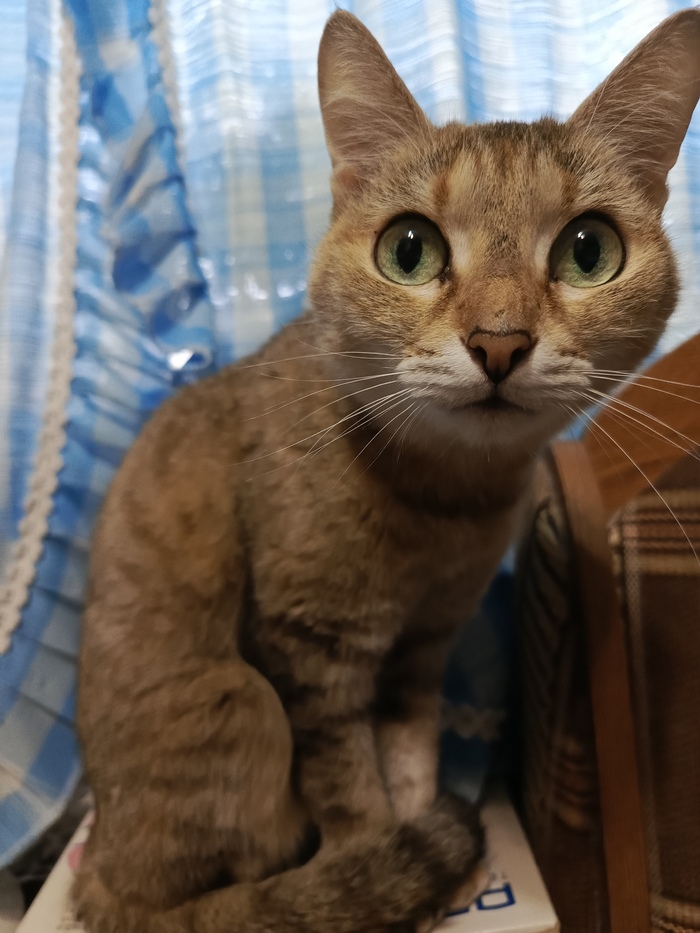 ���� ������ �� ��������� )