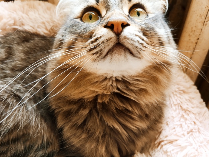 ����������� ����� ���������� �����