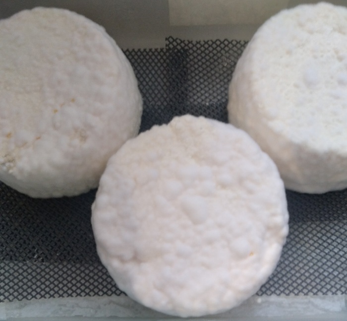 Вот тут ему четыре дня,плесень уже видна,но ещё не то