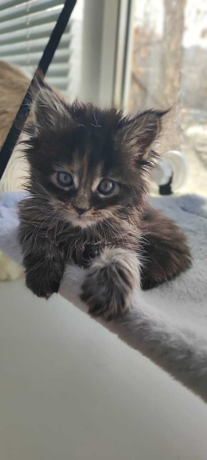 ����� 3 ������ :)