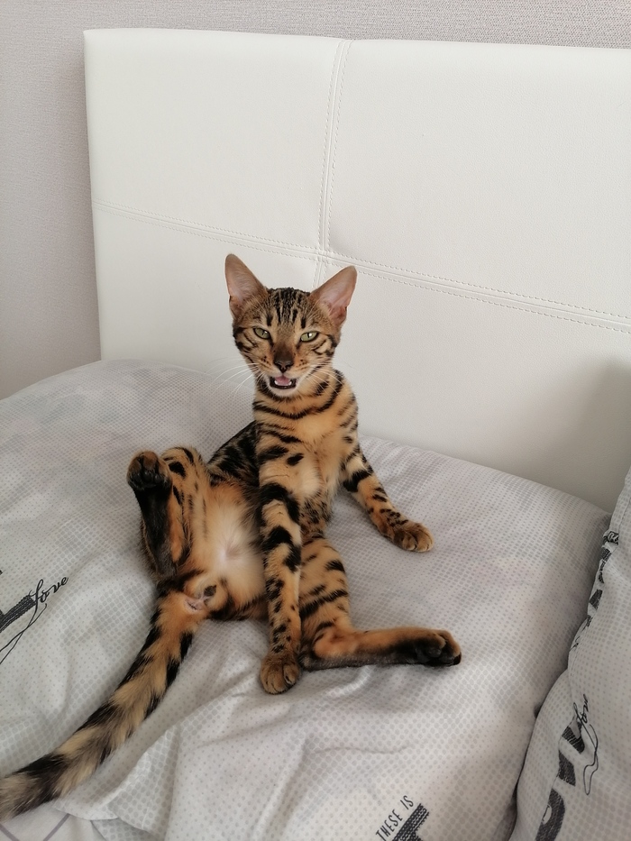 Моя засранка)