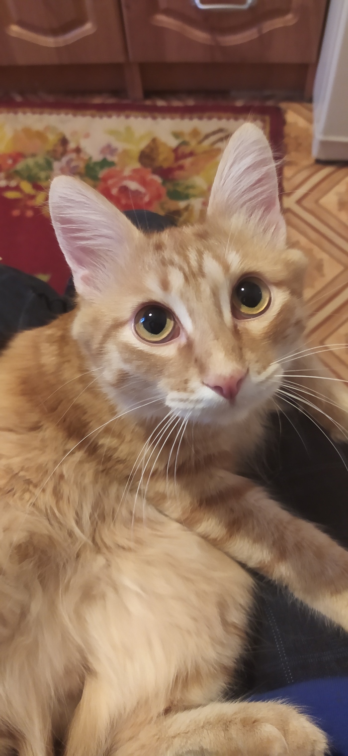 На волне так сказать...