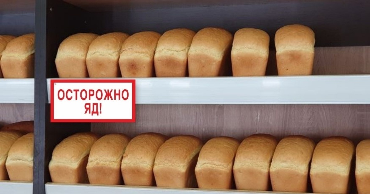 Купить Хлеб На Корм Животным Г Бирск