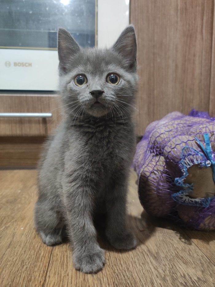 ������� ������� - ����� ��������)))