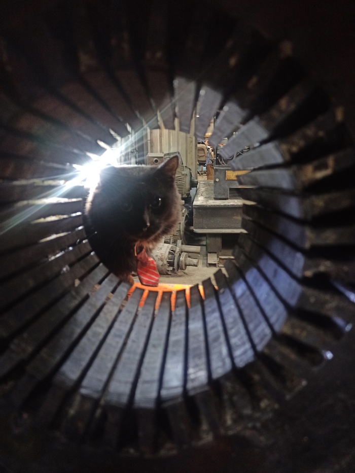 Дмитрий Энергетикович контролирует процесс ремонта электродвигателя)