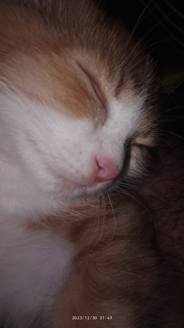 ��� � ��� ���