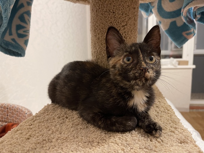 ����� ������ ��� � �������� �������� ����, ������ �� ��� ��� �������� �� ����� � �� �������� ���������� � ��������. ����� �������, ������������, ������ ����� ��������� ��� ��������. �� ���� ������� �������� ���� ������� �����, ��� ���� � �����������.