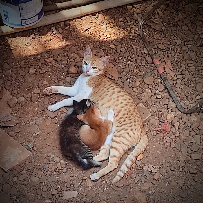 ��� ���������� ��� � �����?