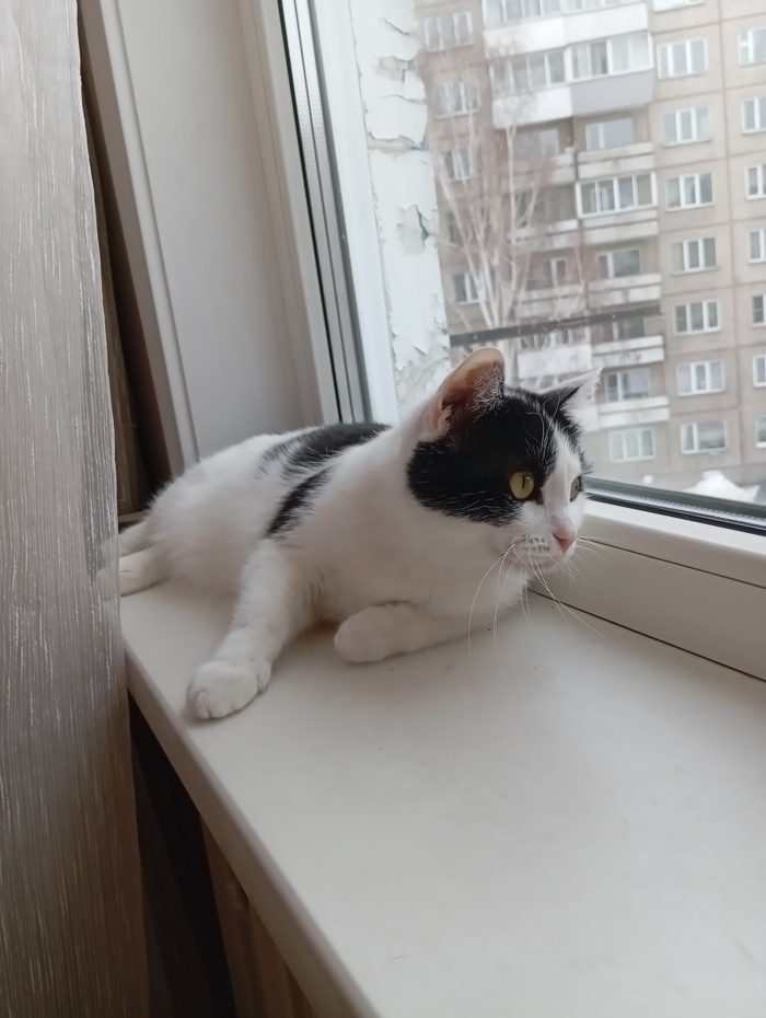 Можете не лайкать, просто полюбуйтесь