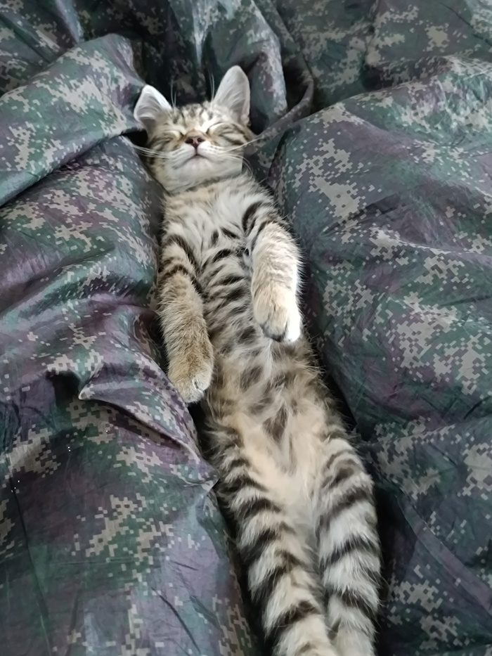 Я ПЛЮСОЦЫГАН