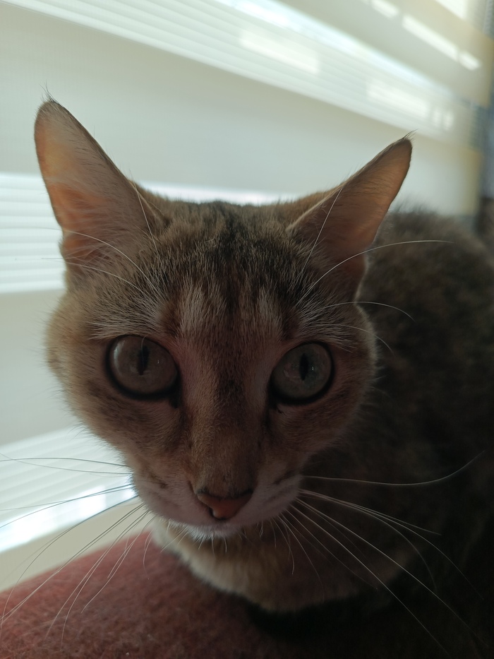 ������ ��������