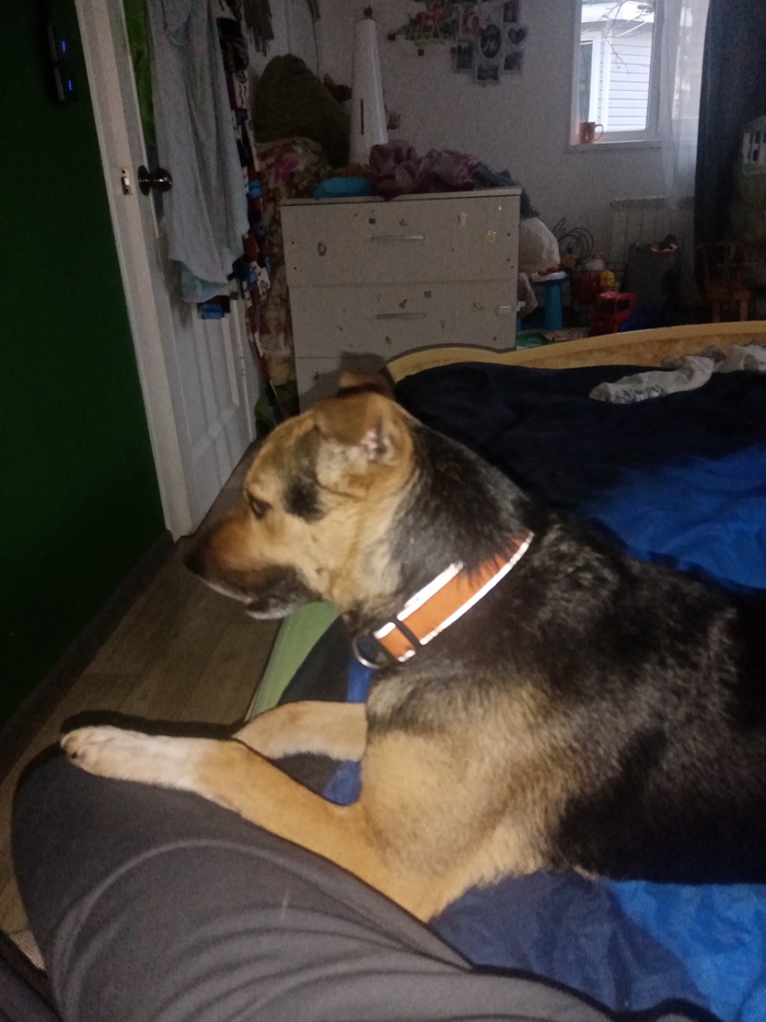 Моё маленькое чудо