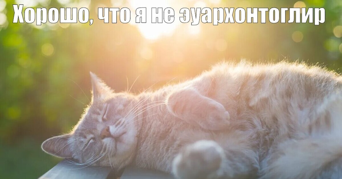 Где мы свернули не туда? | Пикабу