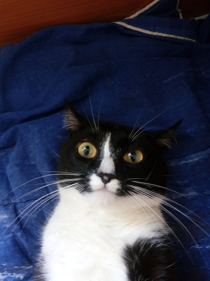 ������ �����)