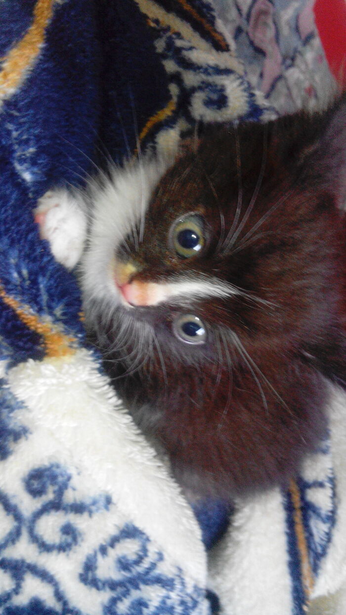 ��� �������� ����� � �������� �������� 2 ������.