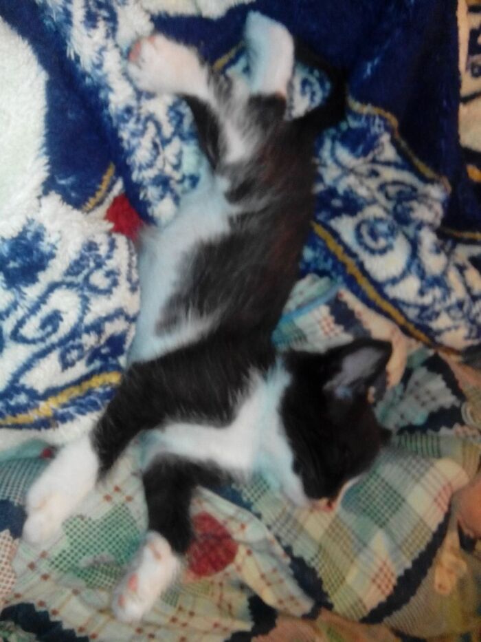 �������)