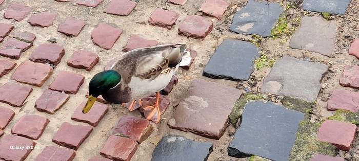 ������ �����, �� �� ������ ��� ��� ��.