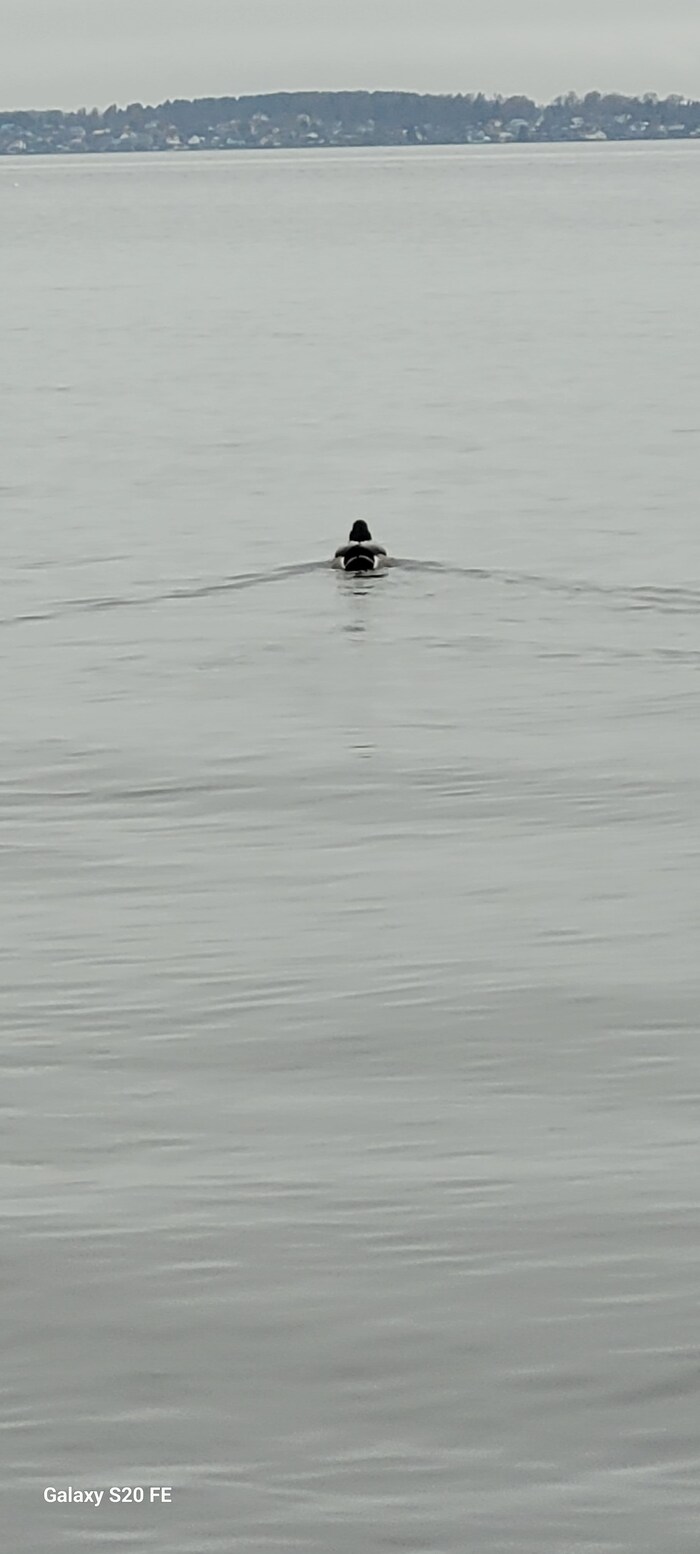 ������� ������ �� ����, ���� �� ��� �������� �� �����������.