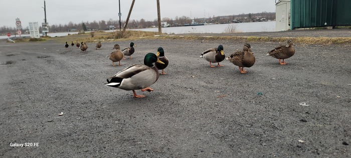 ����� ����������� ����, � ��� �� ���, �� ���������)))